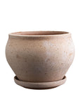 Delphi Pot