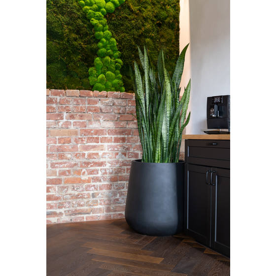 Pax Pot - Thumbnail 5