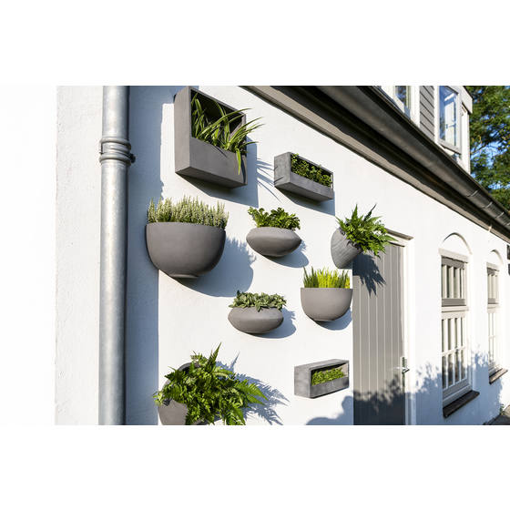 Mini Tara Wall Pot