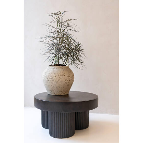 Zeus Pot - Thumbnail 4