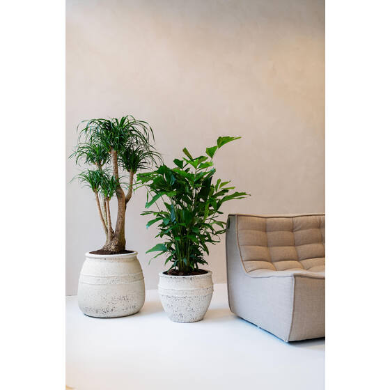 Hestia Pot - Thumbnail 4