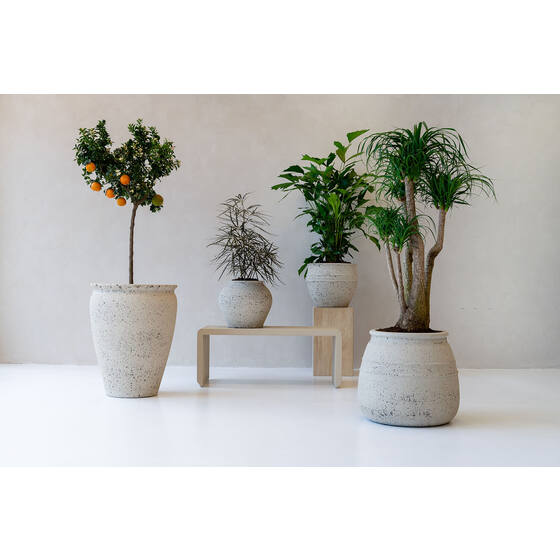 Hestia Pot - Thumbnail 3