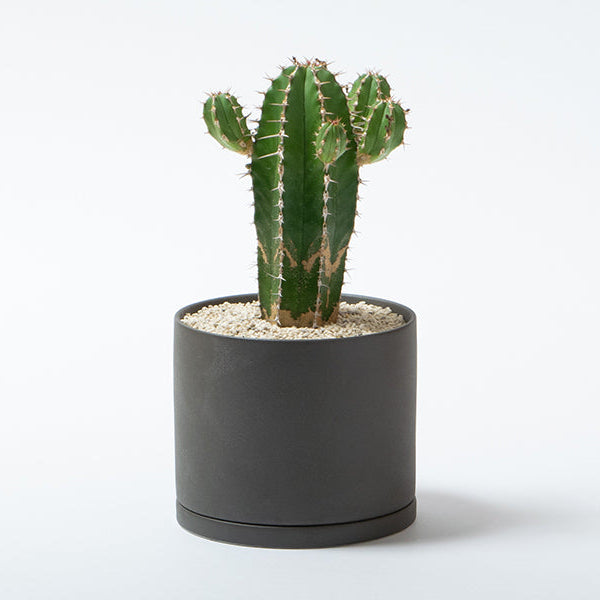 Porcelain Pot