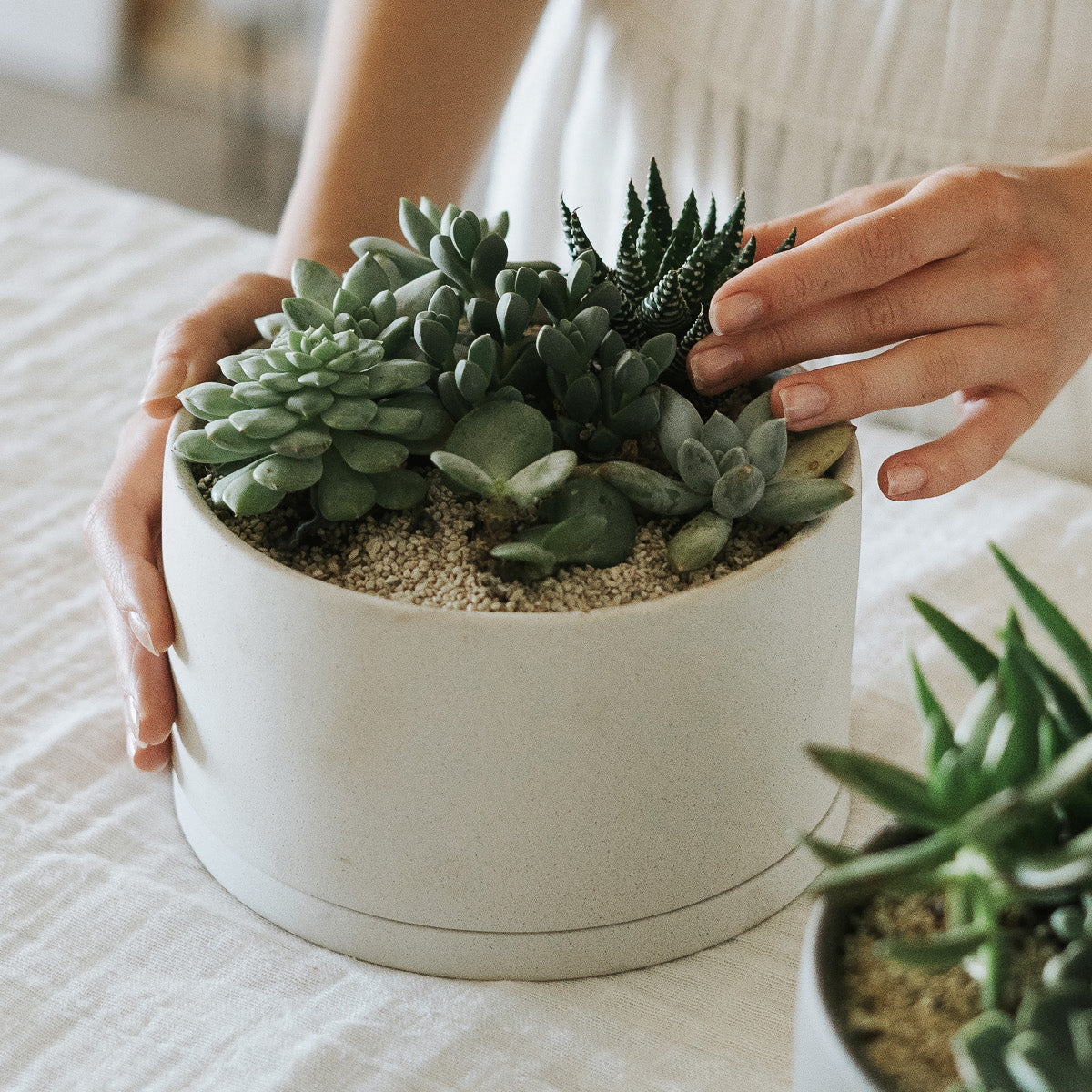 Porcelain Pot