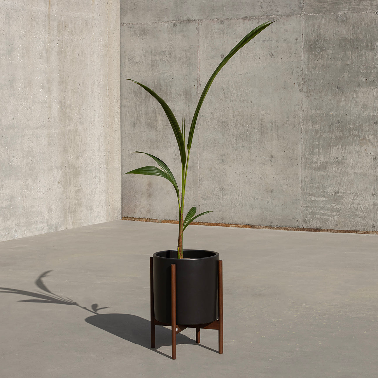 Cylinder Planter