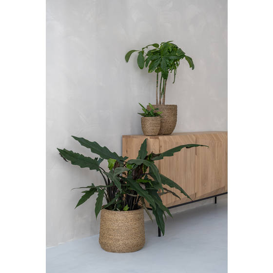 Patt Basket Pot