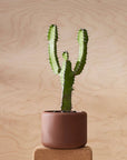 Botany Porcelain Pot
