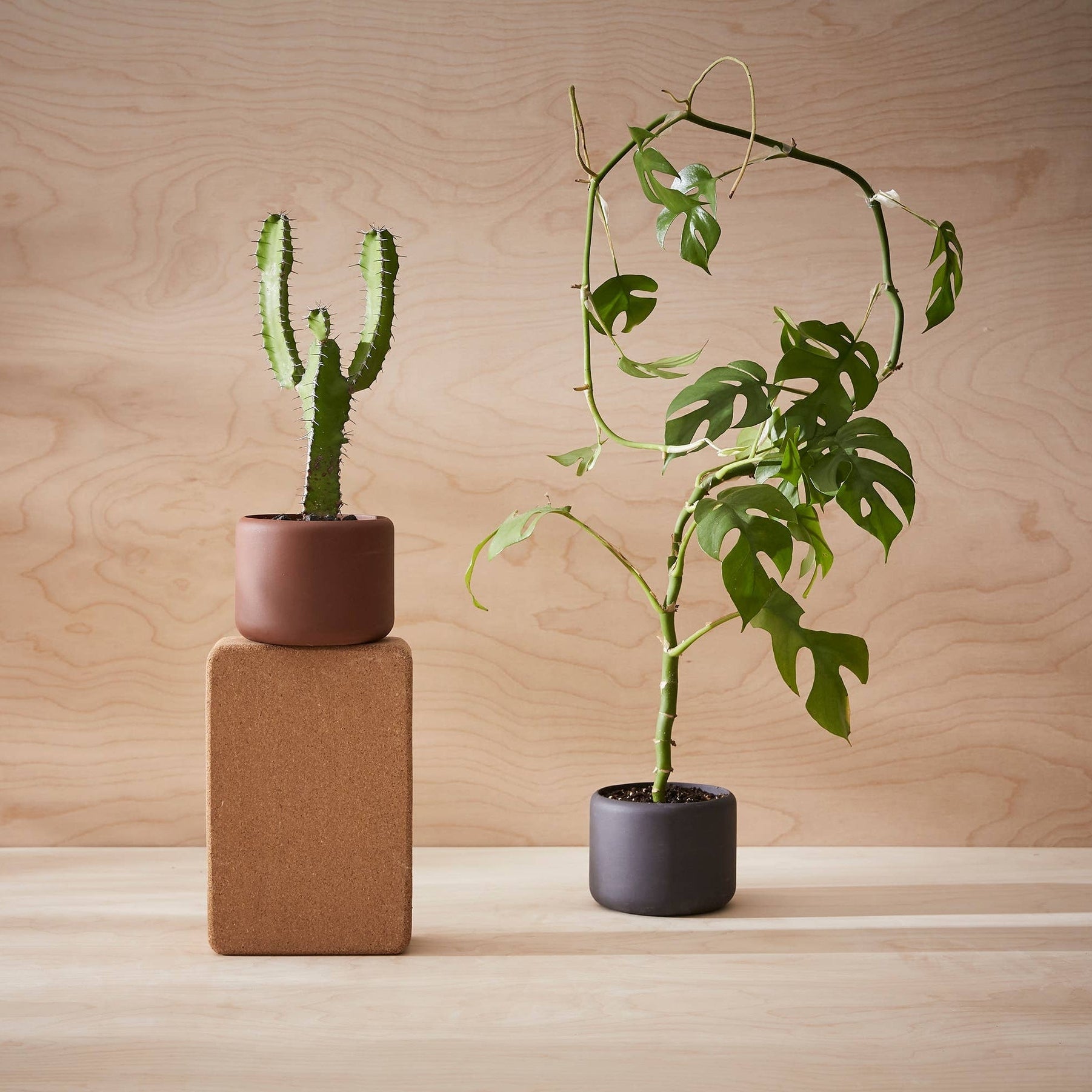 Botany Porcelain Pot