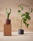 Botany Porcelain Pot