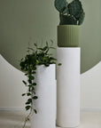 Antigua Planter