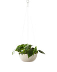 Minimal Hanging Planter