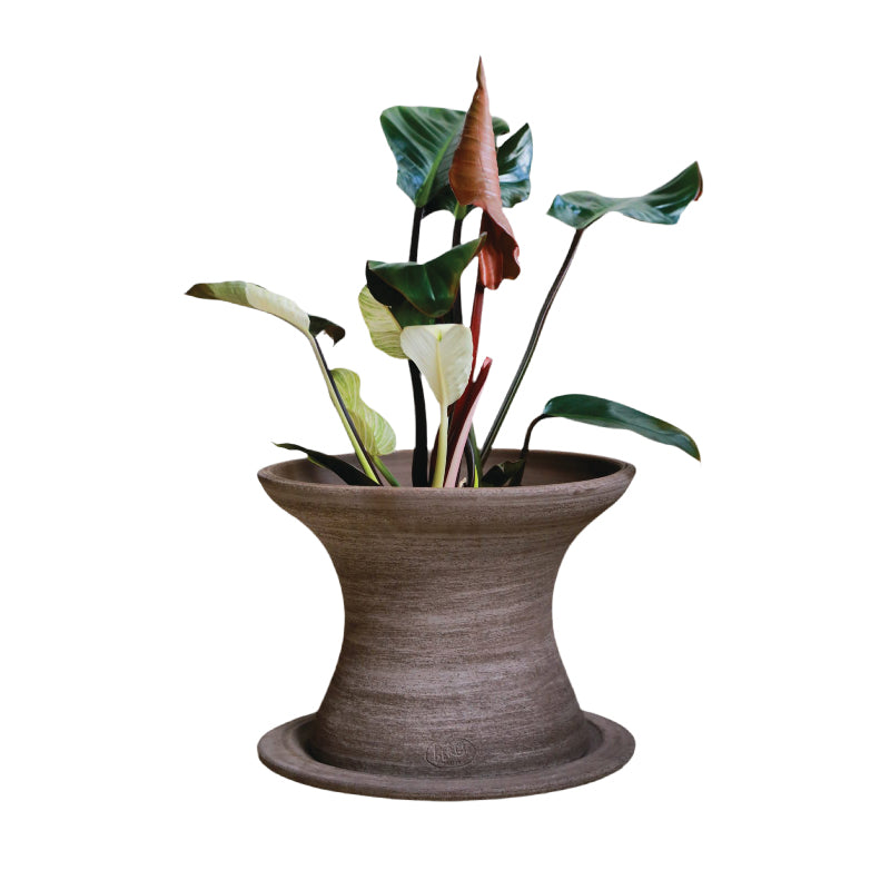 Celeste Pot - Thumbnail 2