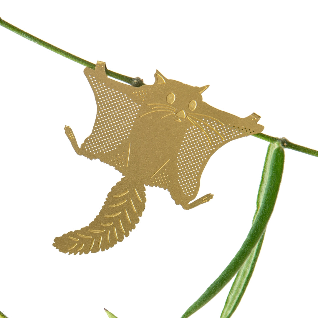 Plant Animals