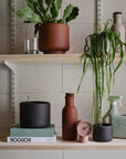 Botany Porcelain Pot