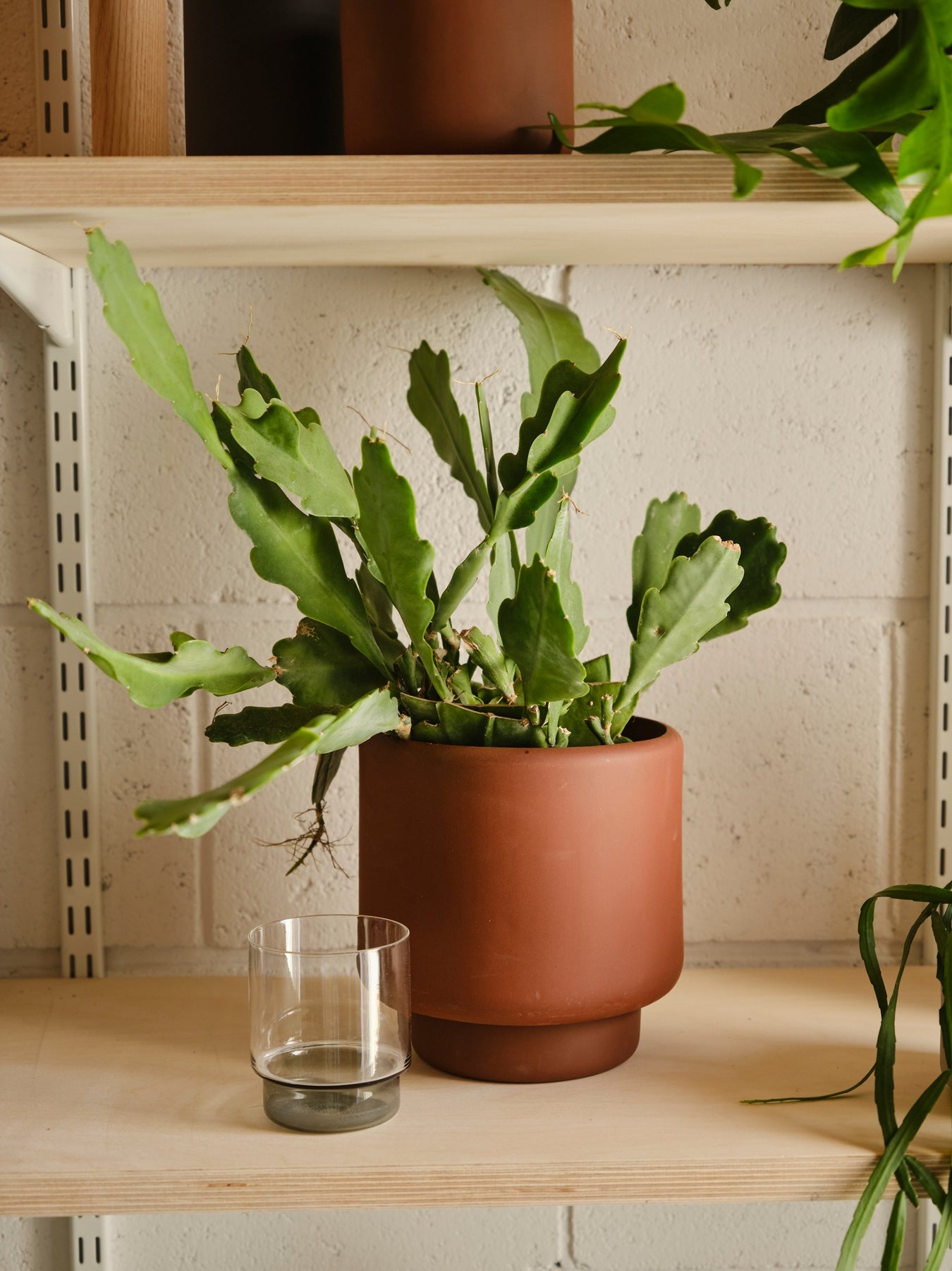 Botany Porcelain Pot