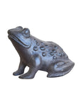 Cast Iron Frog