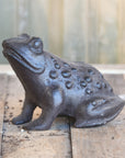 Cast Iron Frog
