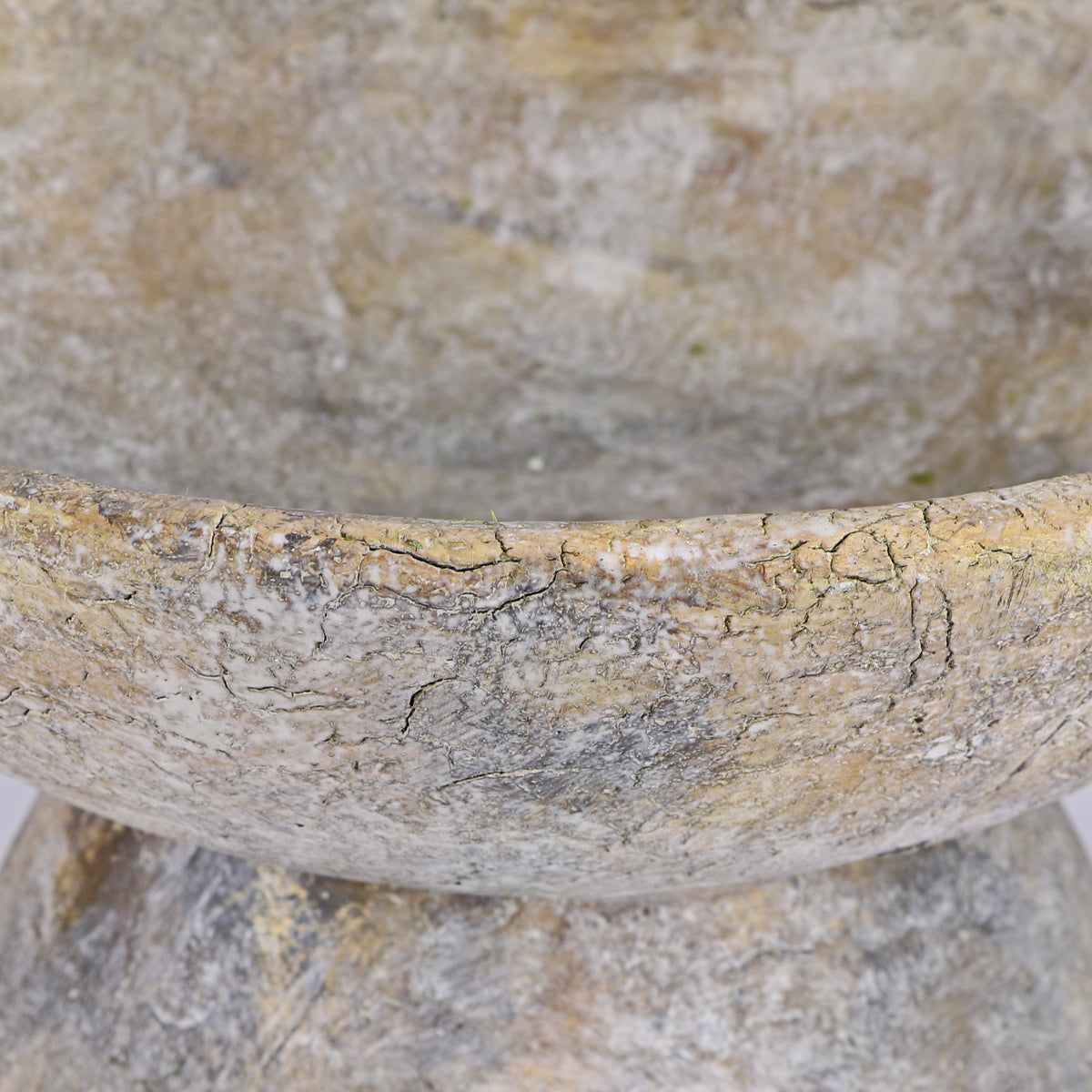 Concrete Saucer Planter - Thumbnail 4