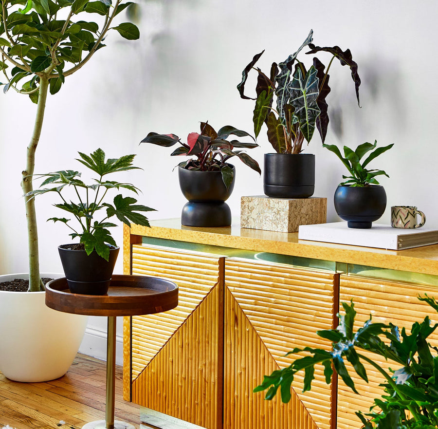 Ainslie Self-Watering Pot
