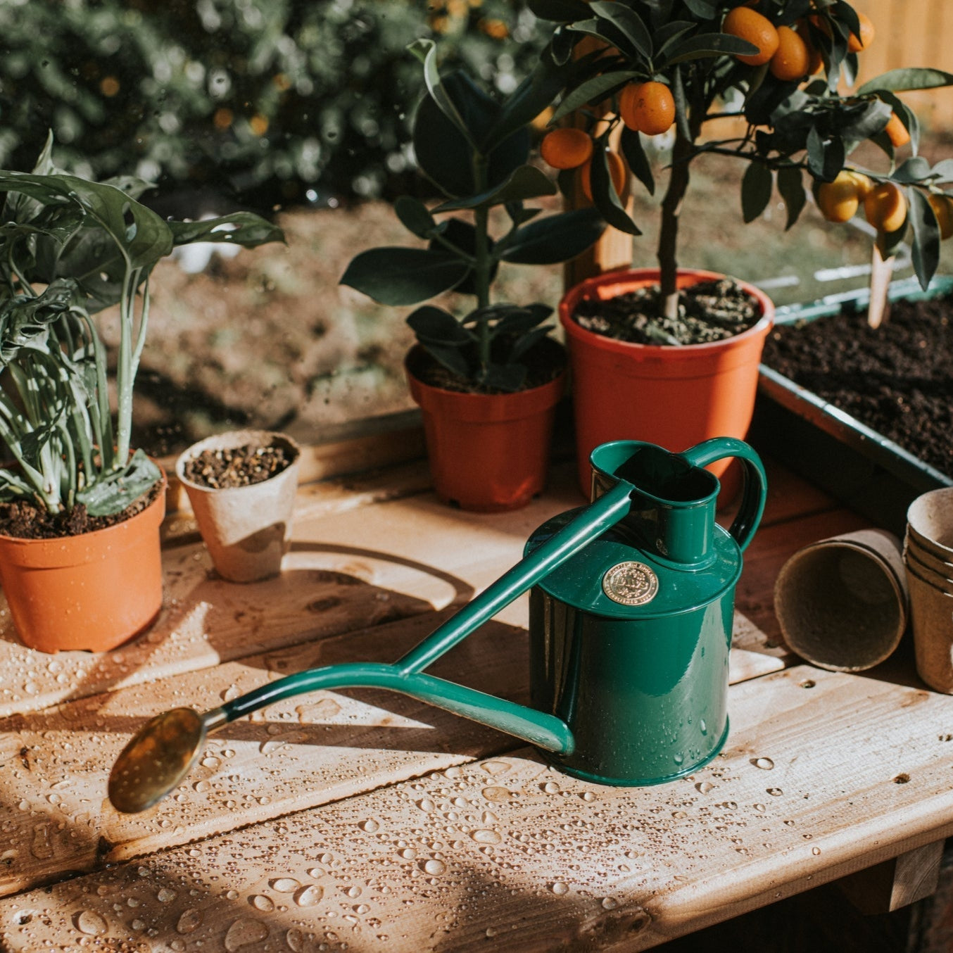 The Rowley Ripple Watering Can - Thumbnail 4