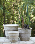 Monteclair Planter