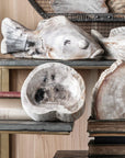 Petrified Wood Bowl