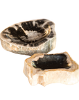 Petrified Wood Bowl