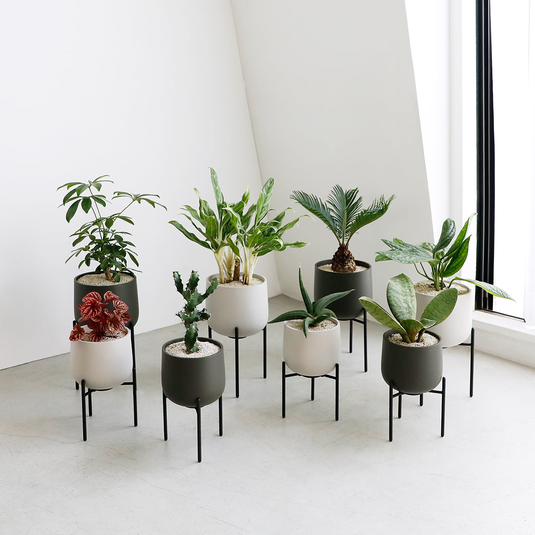 Porcelain Plant Stand