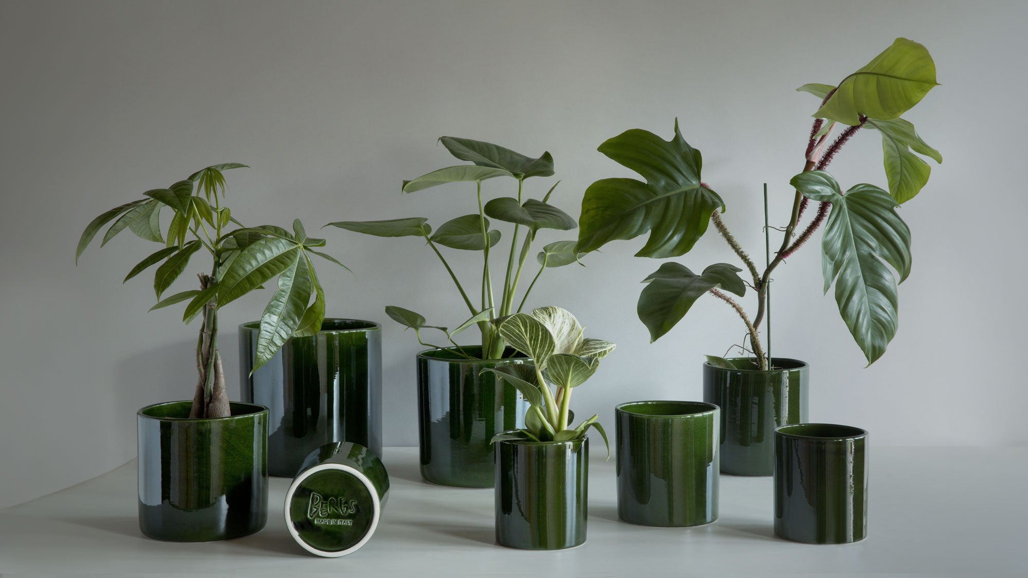 Romeo Pot