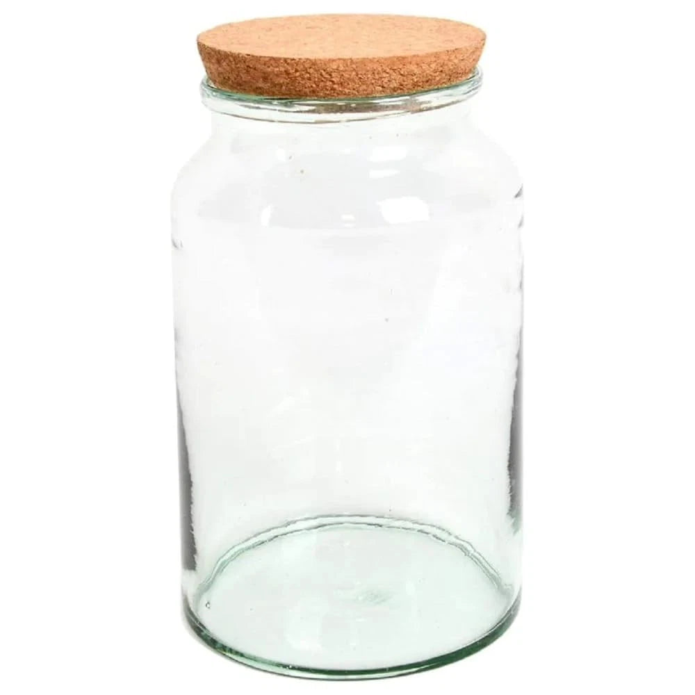 Wide Mouth Terrarium Bottle