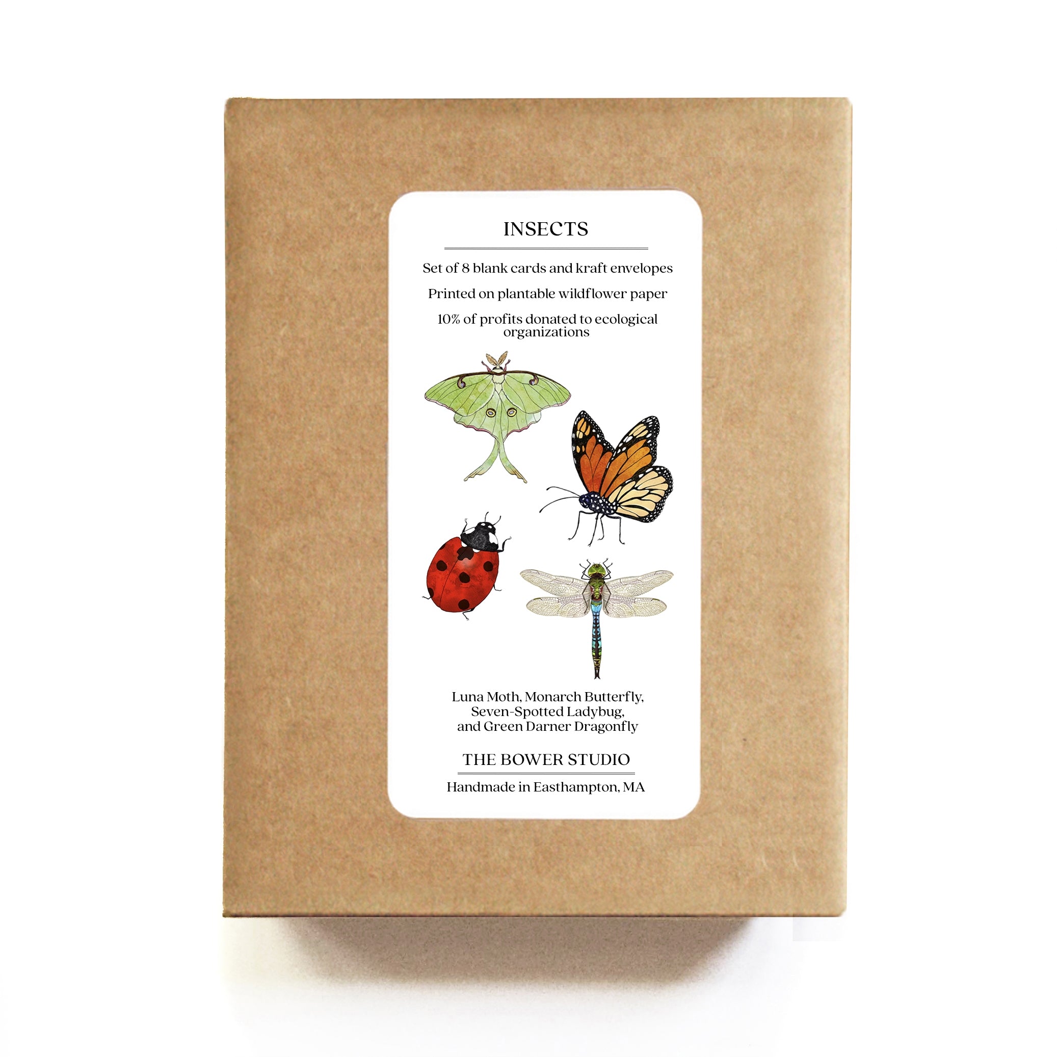 Insect Card Set – Diameter Plants
