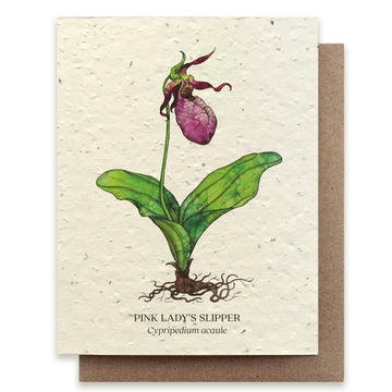 Ladyslipper Card