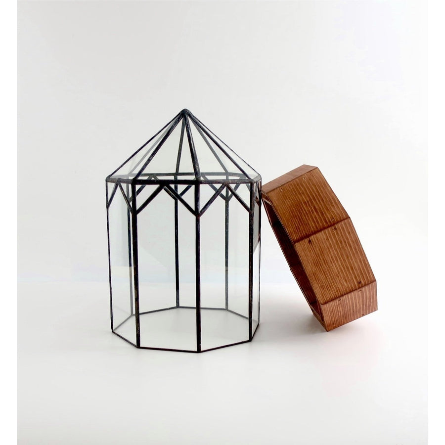 Gazebo Terrarium