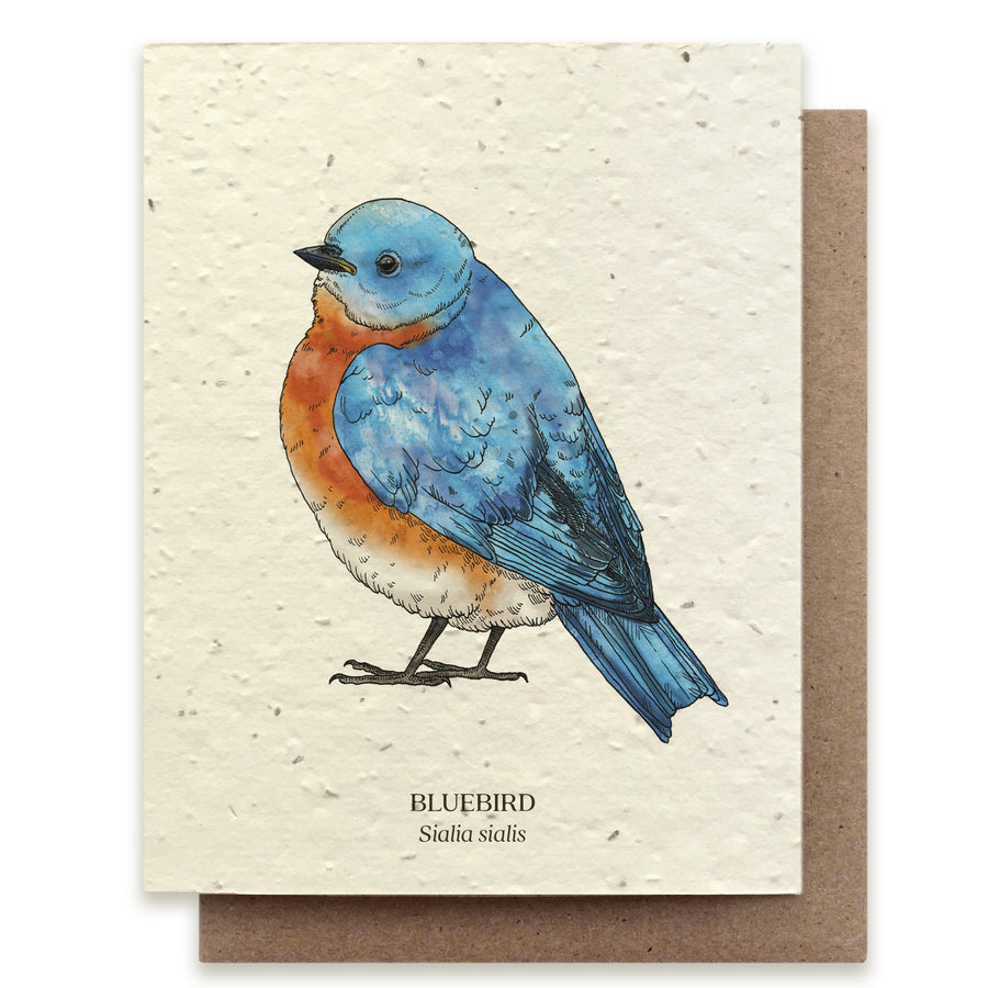 Bluebird Card