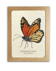Insect Card Set