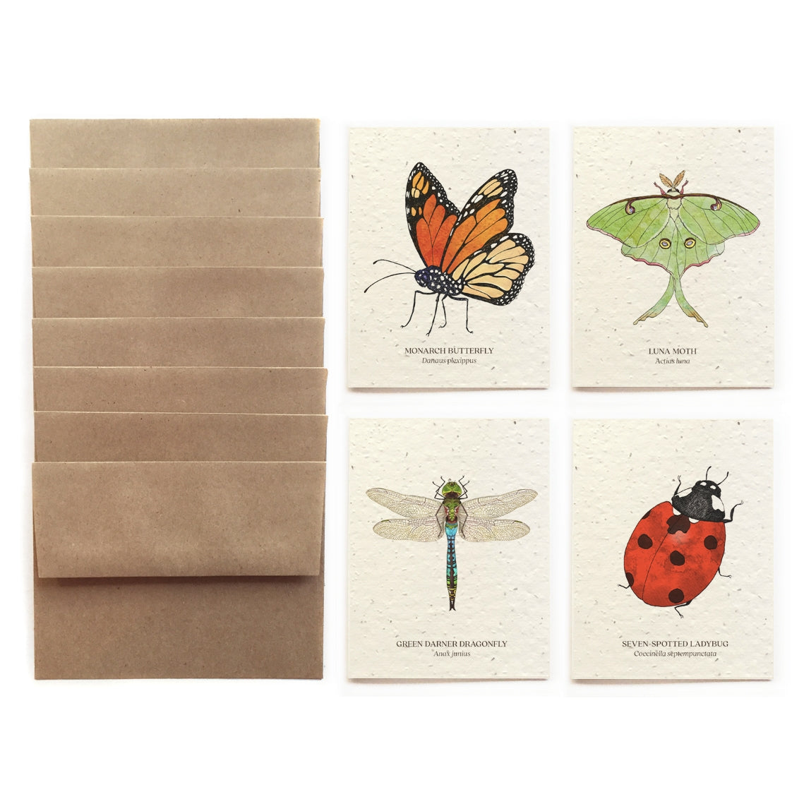 Insect Card Set – Diameter Plants