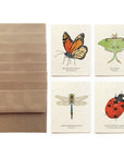Insect Card Set