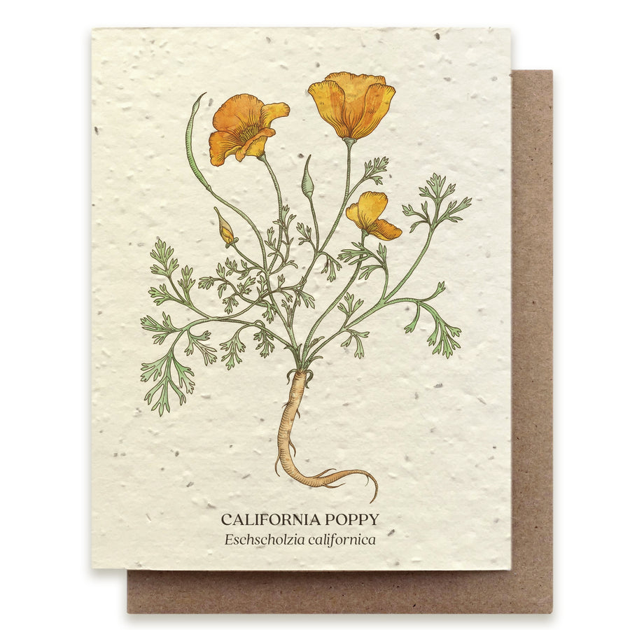 California Poppy Card