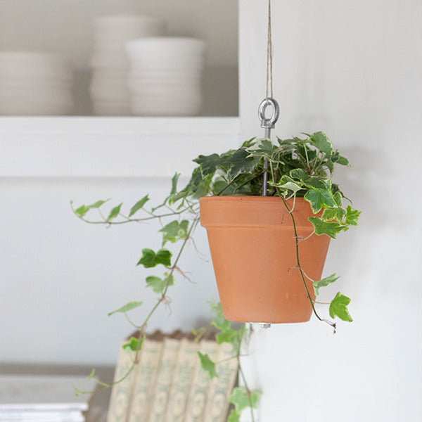 Bolty Hanging Planter System