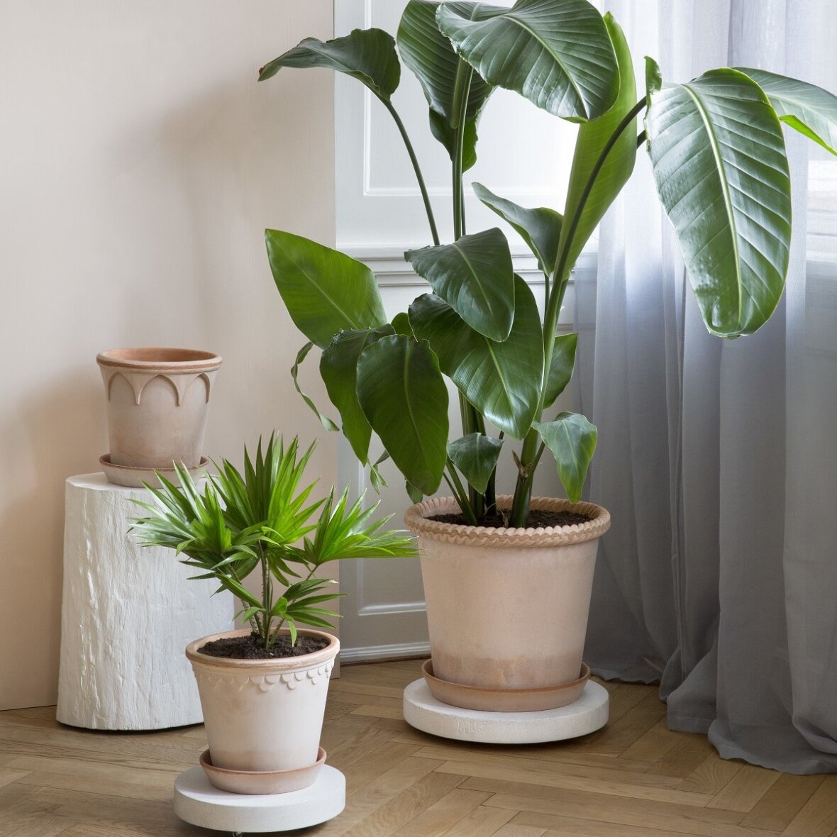 Rolling Stone Trolley - Thumbnail 5