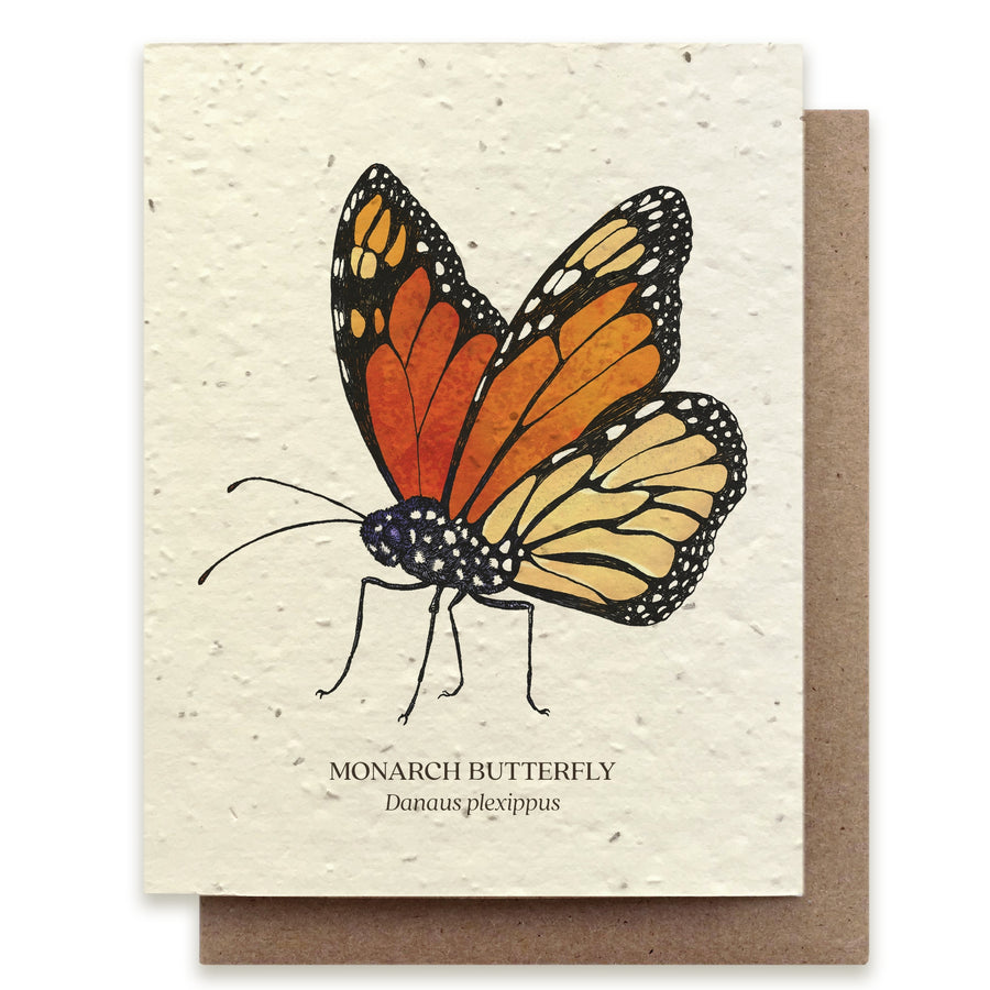 Monarch Butterfly Card