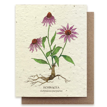 Echinacea Card