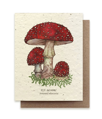 Fly Agaric Card