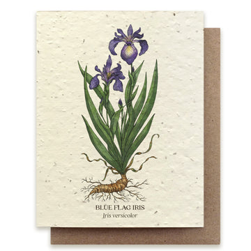 Iris Card