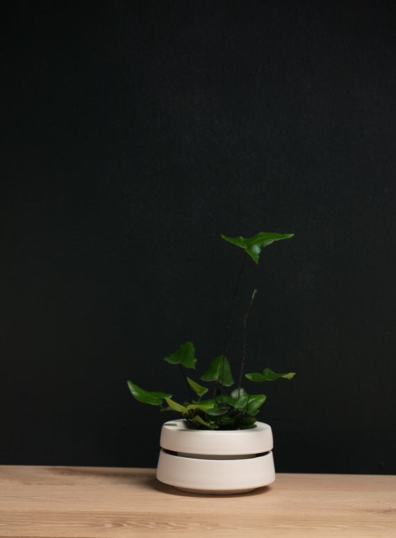 Banded Planter