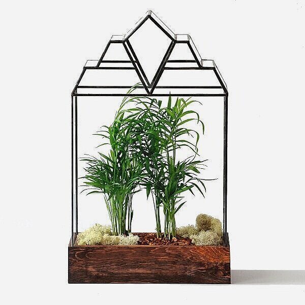 Mendel Terrarium